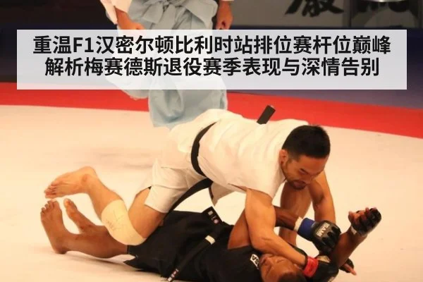 重温F1汉密尔顿比利时站排位赛杆位巅峰 解析梅赛德斯退役赛季表现与深情告别