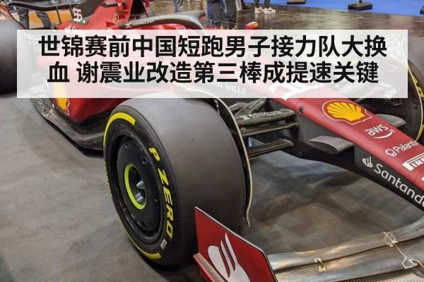 世锦赛前中国短跑男子接力队大换血 谢震业改造第三棒成提速关键